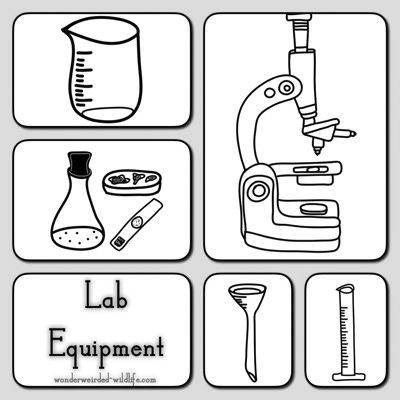 science mad chemistry lab instructions