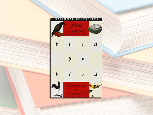 bird by bird some instructions on writing and life